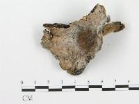 登錄號:F0010843藏品圖，第3張