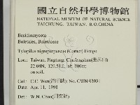 登錄號:F0010847藏品圖，第2張