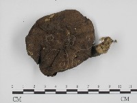 登錄號:F0010847藏品圖，第1張