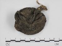 登錄號:F0010847藏品圖，第3張