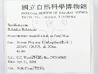 登錄號:F0010848藏品圖，第2張