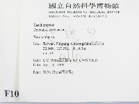 登錄號:F0010851藏品圖，第2張