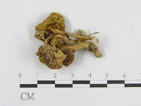 登錄號:F0010851藏品圖，第3張