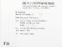 登錄號:F0010853藏品圖，第2張