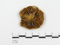登錄號:F0010853藏品圖，第3張