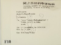 登錄號:F0010856藏品圖，第2張