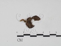 登錄號:F0010856藏品圖，第1張