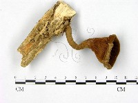 登錄號:F0010860藏品圖，第1張