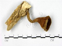 登錄號:F0010860藏品圖，第3張