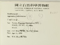 登錄號:F0010861藏品圖，第2張