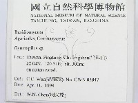 登錄號:F0010862藏品圖，第2張