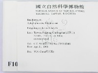 登錄號:F0010863藏品圖，第2張