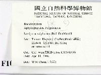 登錄號:F0010864藏品圖，第2張