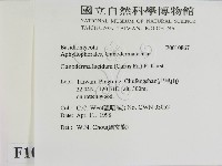 登錄號:F0010867藏品圖，第2張