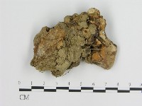 登錄號:F0010867藏品圖，第1張