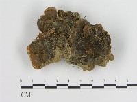 登錄號:F0010867藏品圖，第3張