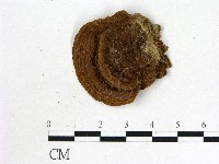 登錄號:F0010868藏品圖，第1張