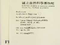登錄號:F0010869藏品圖，第2張