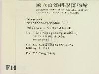 登錄號:F0010870藏品圖，第2張