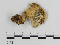 登錄號:F0010870藏品圖，第1張