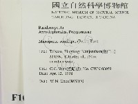 登錄號:F0010871藏品圖，第2張