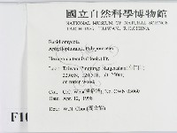 登錄號:F0010872藏品圖，第2張