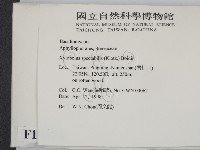 登錄號:F0010874藏品圖，第2張