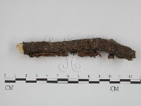 登錄號:F0010874藏品圖，第3張