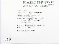 登錄號:F0010875藏品圖，第2張