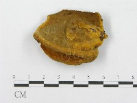 登錄號:F0010875藏品圖，第1張