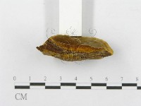 登錄號:F0010875藏品圖，第5張