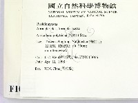 毛木耳藏品圖，第2張