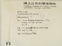 登錄號:F0010879藏品圖，第2張