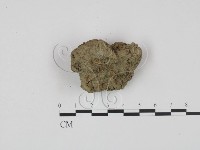 登錄號:F0010879藏品圖，第1張