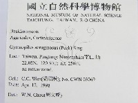 登錄號:F0010880藏品圖，第2張