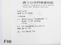 鬼傘屬藏品圖，第2張