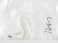 鬼傘屬藏品圖，第1張