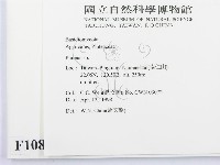 登錄號:F0010884藏品圖，第2張