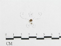 登錄號:F0010884藏品圖，第1張