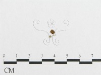登錄號:F0010884藏品圖，第3張