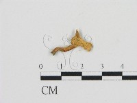 登錄號:F0010885藏品圖，第1張