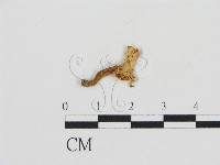 登錄號:F0010885藏品圖，第3張