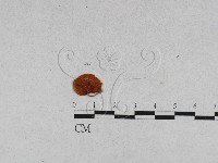 登錄號:F0010886藏品圖，第3張
