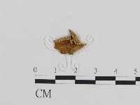 登錄號:F0010889藏品圖，第3張