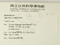 登錄號:F0010890藏品圖，第2張