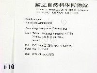 登錄號:F0010891藏品圖，第2張