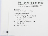 登錄號:F0010893藏品圖，第2張