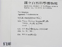 登錄號:F0010894藏品圖，第2張