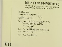 登錄號:F0010896藏品圖，第2張