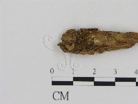 登錄號:F0010896藏品圖，第1張